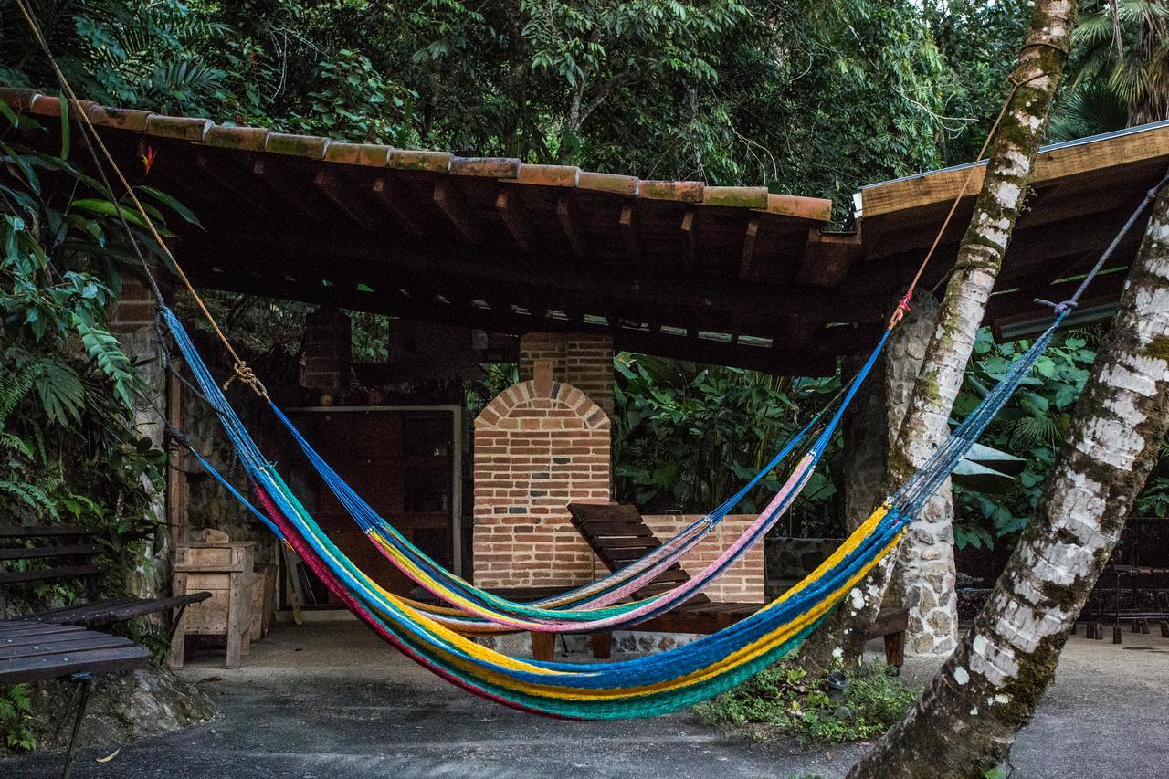Omega Tours Eco-Jungle Lodge La Ceiba Exteriör bild