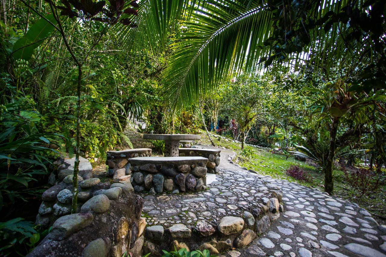 Omega Tours Eco-Jungle Lodge La Ceiba Exteriör bild