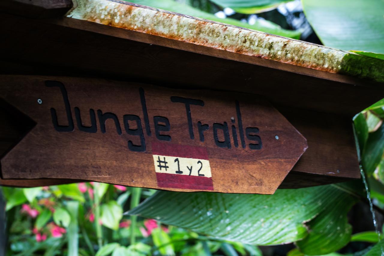 Omega Tours Eco-Jungle Lodge La Ceiba Exteriör bild