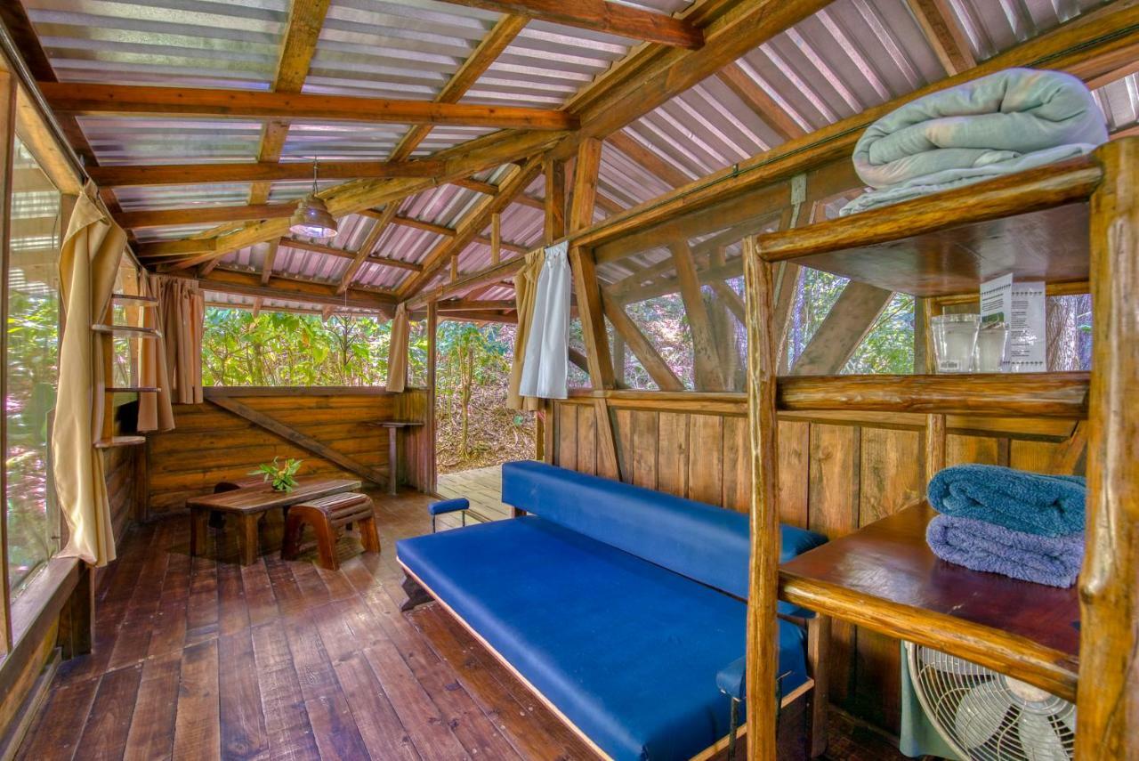 Omega Tours Eco-Jungle Lodge La Ceiba Exteriör bild